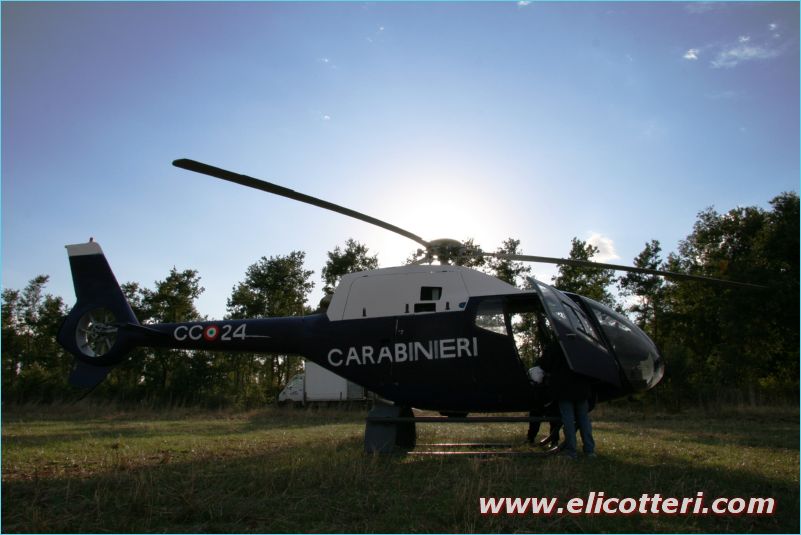 elifoto (167)